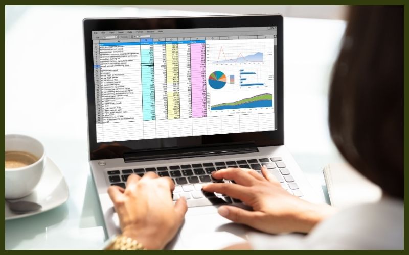 Someone working at a laptop showing a spreadsheet