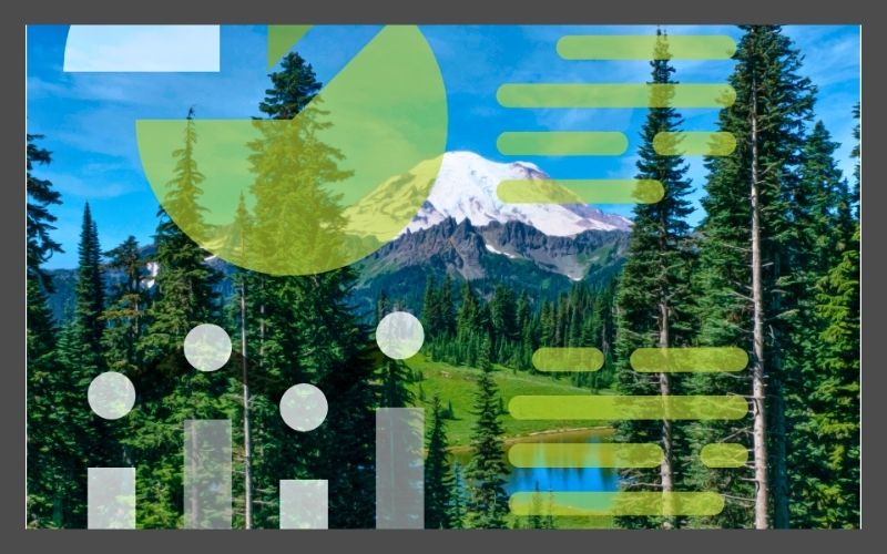 Various charts and graphs superimposed over a picture of a mountain and forest