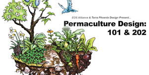 Permaculture Workshop in Seattle