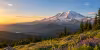 Snow-capped mountain above forested ridges and wildflower meadows at sunrise
